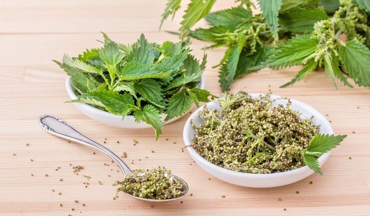 គ្រាប់ពូជ nettle សម្រាប់ថាមពល