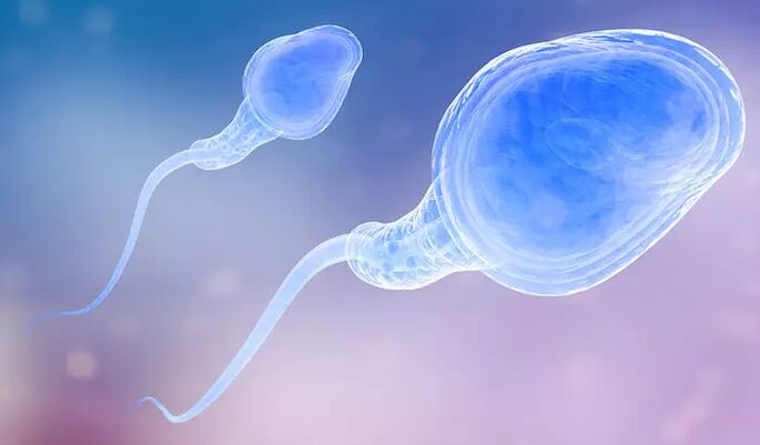 Spermatozoa អាច​មាន​នៅ​ក្នុង​មុន​បញ្ចេញ​ទឹកកាម​របស់​បុរស